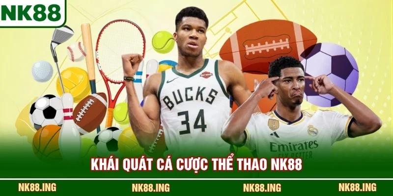 Khái quát cá cược thể thao NK88