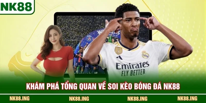 Khám phá tổng quan về soi kèo bóng đá NK88